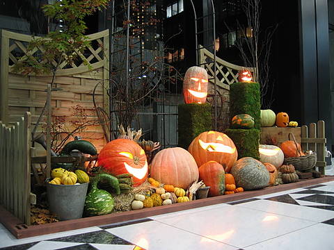 ディスプレイ | 東京都渋谷区 ガーデンデザイン からならの木 うるおい